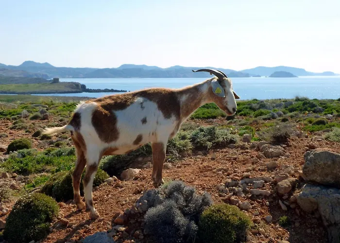 Mesmerizing Mallorca 4 Bedrooms Feelings Польенса