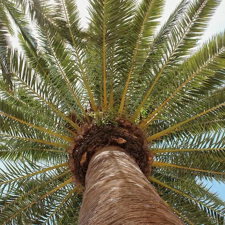 Mesmerizing Mallorca 4 Bedrooms Feelings * Pollença