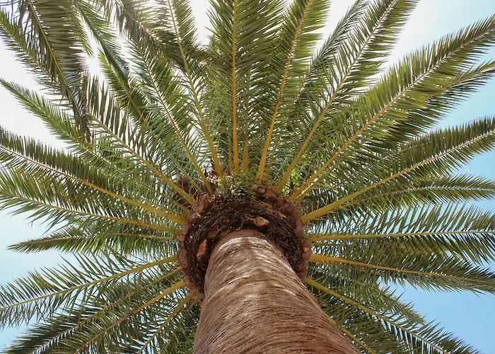 Mesmerizing Mallorca 4 Bedrooms Feelings * Pollença